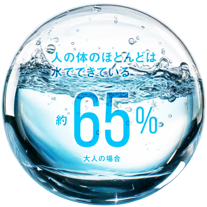 体の水分量と発汗バランス